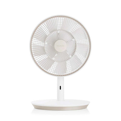 Balmuda GreenFan