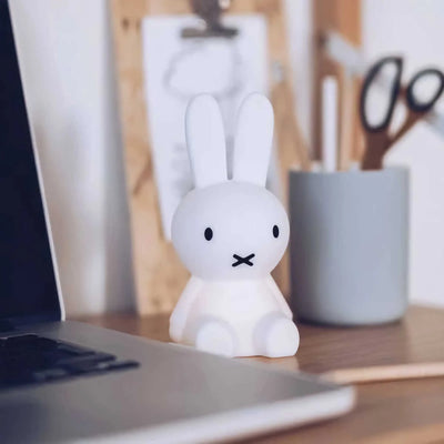 Mr Maria Bundle of Light, Miffy