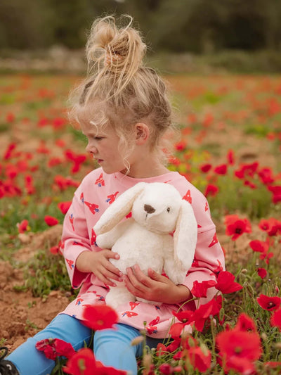 Bon Ton Toys X WWF Eco Robbert Rabbit