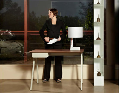Blu Dot Stash Desk, Ash/White