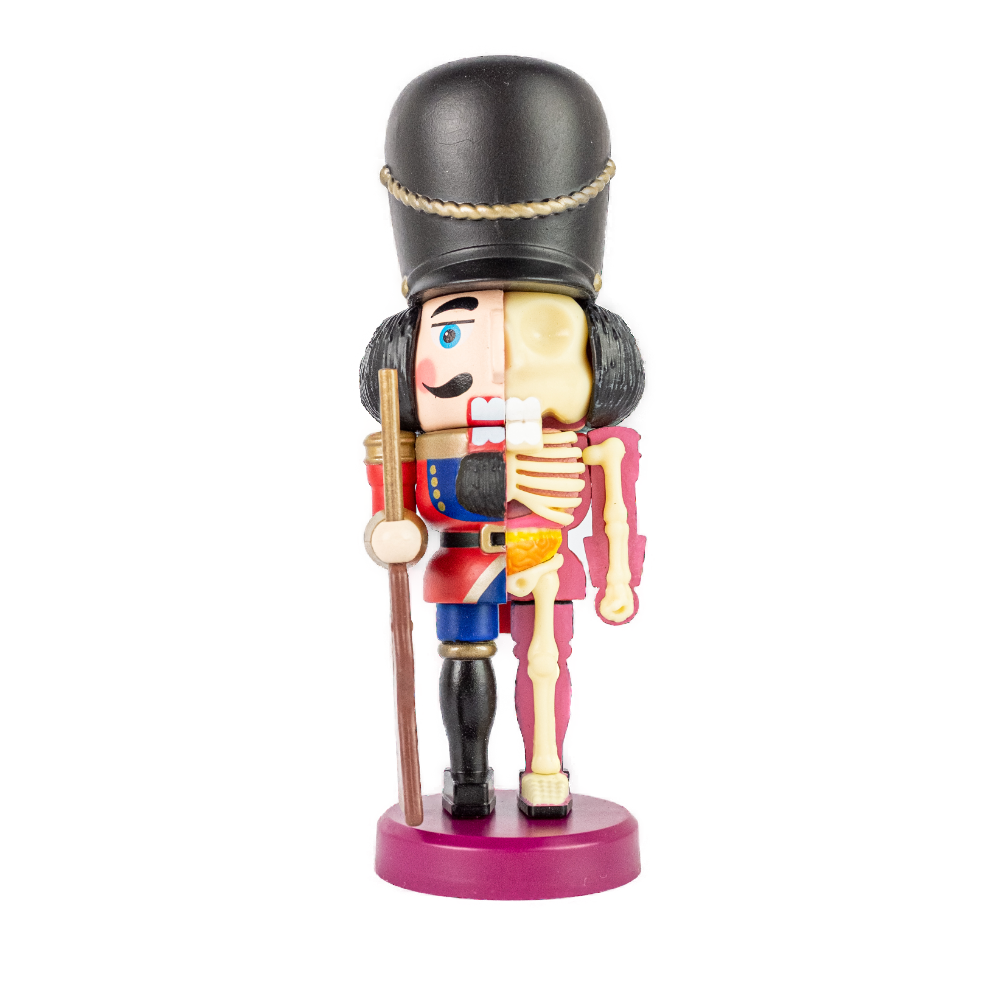 Fame Master Nutcracker Guard Anatomy Figure Glow 10cm