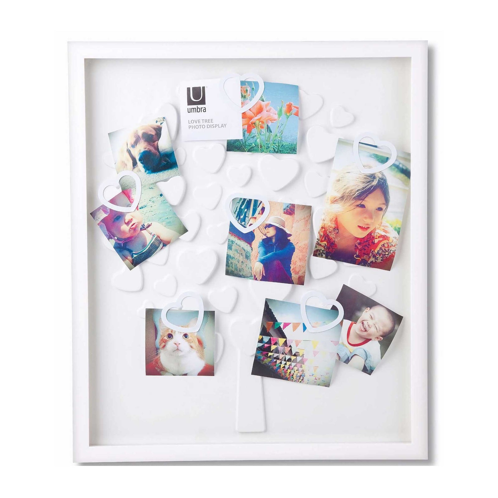 Umbra LoveTree Photo Display, White