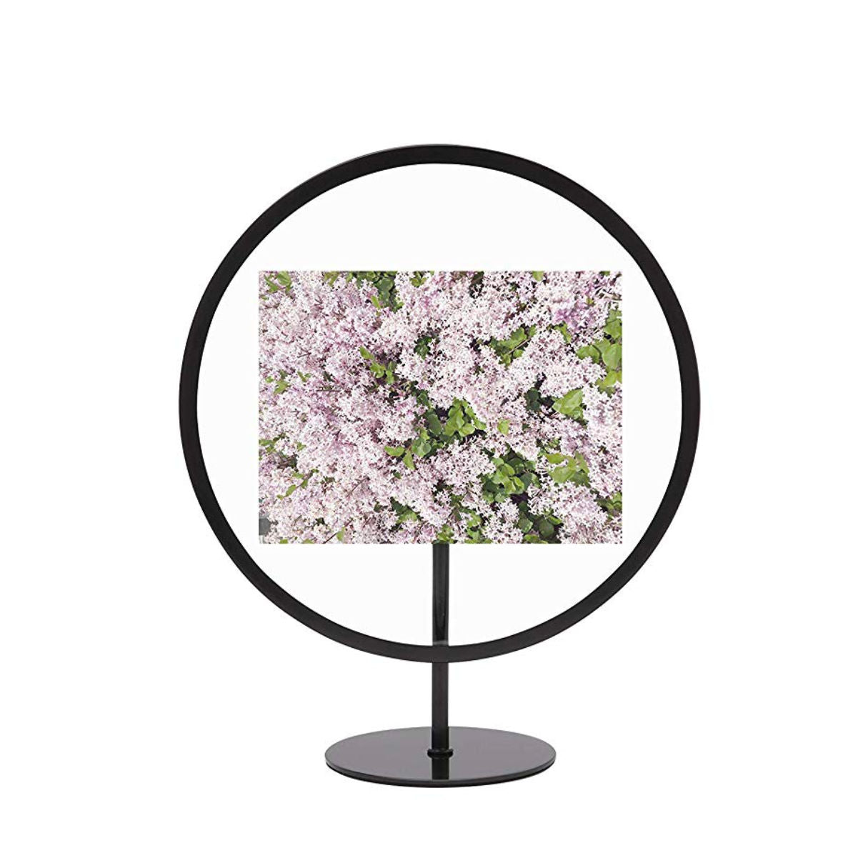 Umbra Infinity floating picture frame, Black (4x6")