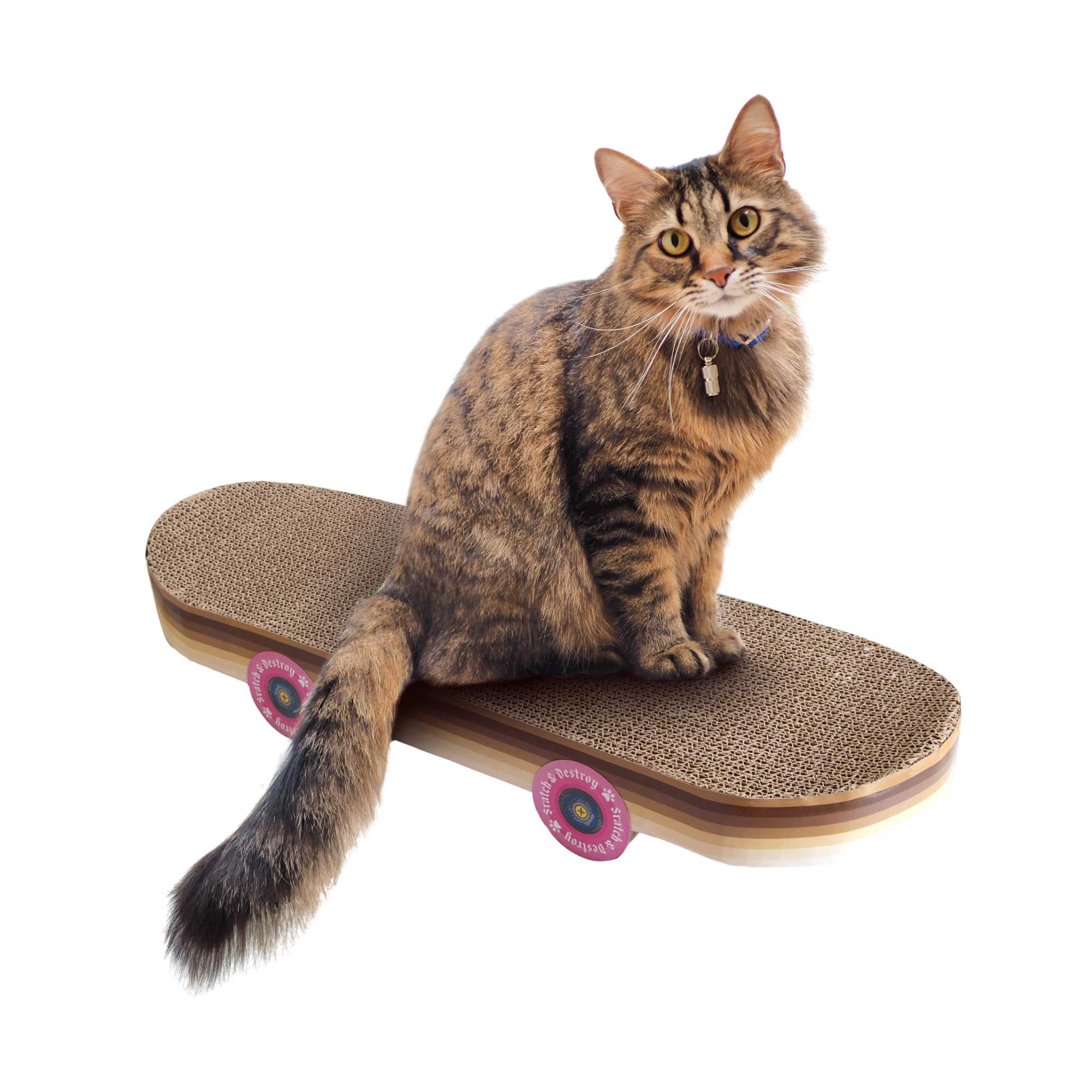 Suck UK Cat Scratch, skateboard
