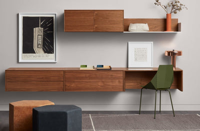 Blu Dot Wonder Wall 2.0 1 Door Cabinet