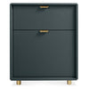 Blu Dot Dang File Pedestal