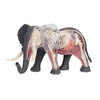 Fame Master 4D Vision Elephant Anatonmy Puzzle Toy