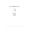 Hype Miffy message card, you're expecting