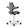HAG Capisco 8106 ergonomic chair, grey/white