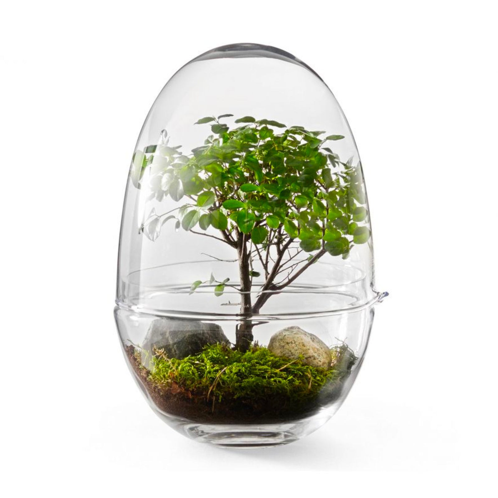 Design House Stockholm Grow greenhouse 32cm