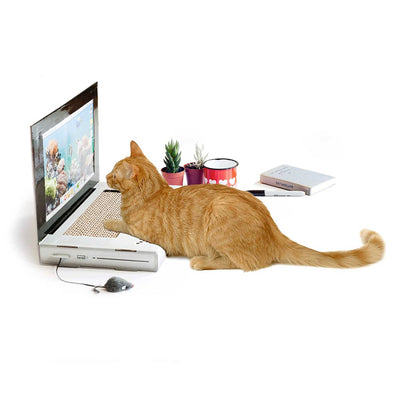 Suck Uk Cat Scratch Laptop