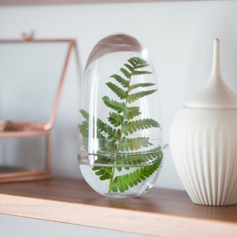 Design House Stockholm Grow greenhouse 14cm