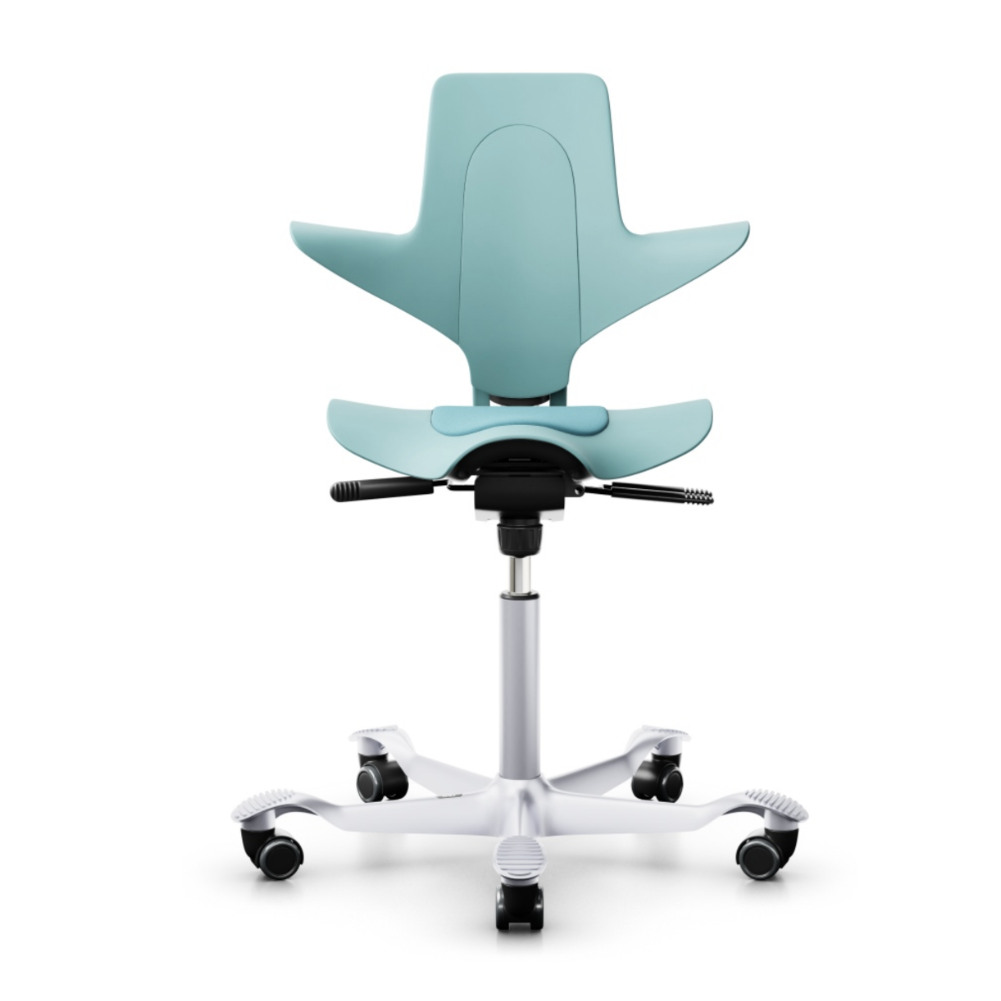 HAG Capisco Puls 8010 ergonomic chair, sea green