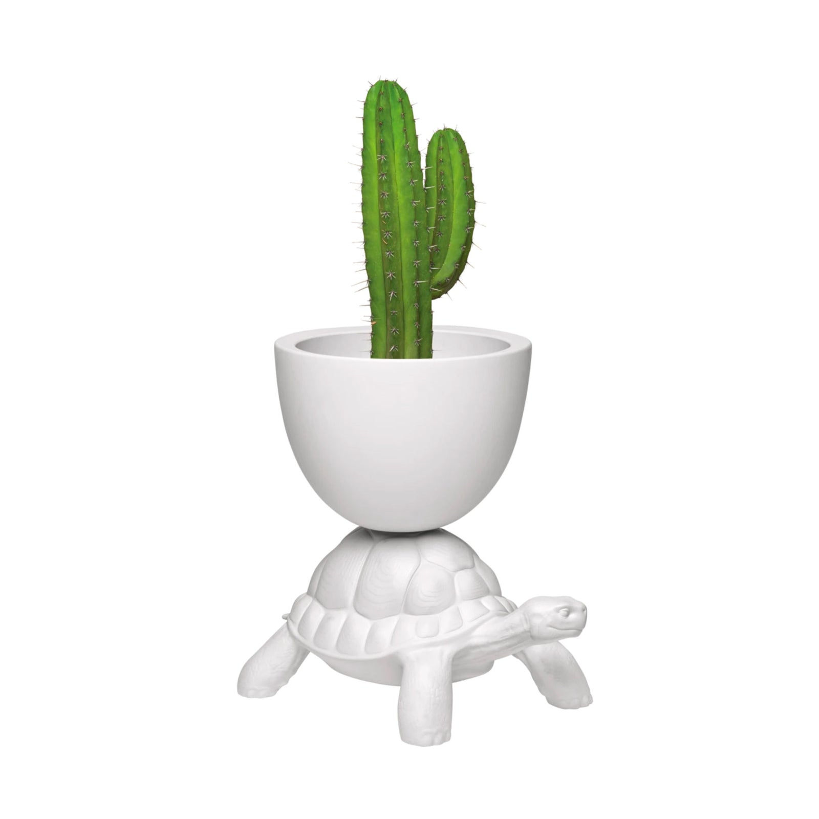 Qeeboo Turtle Carry planter, white