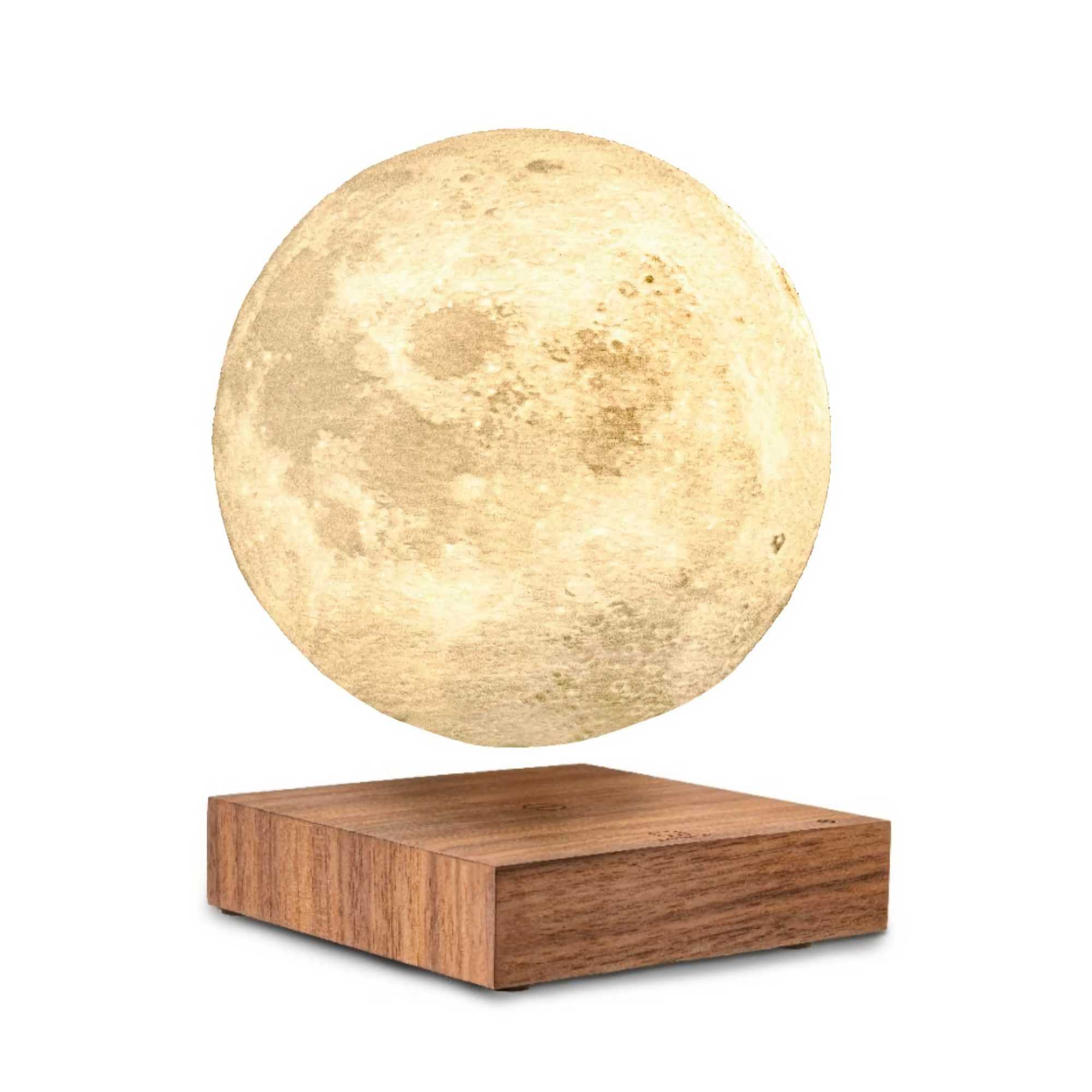 Gingko Smart Moon Lamp , American Walnut